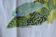 画像13: 1990s GUY HARVEY ポケットTシャツ　 MADE IN USA　 表記XL  (13)