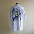 画像3: 1990s GUY HARVEY ポケットTシャツ　 MADE IN USA　 表記XL 