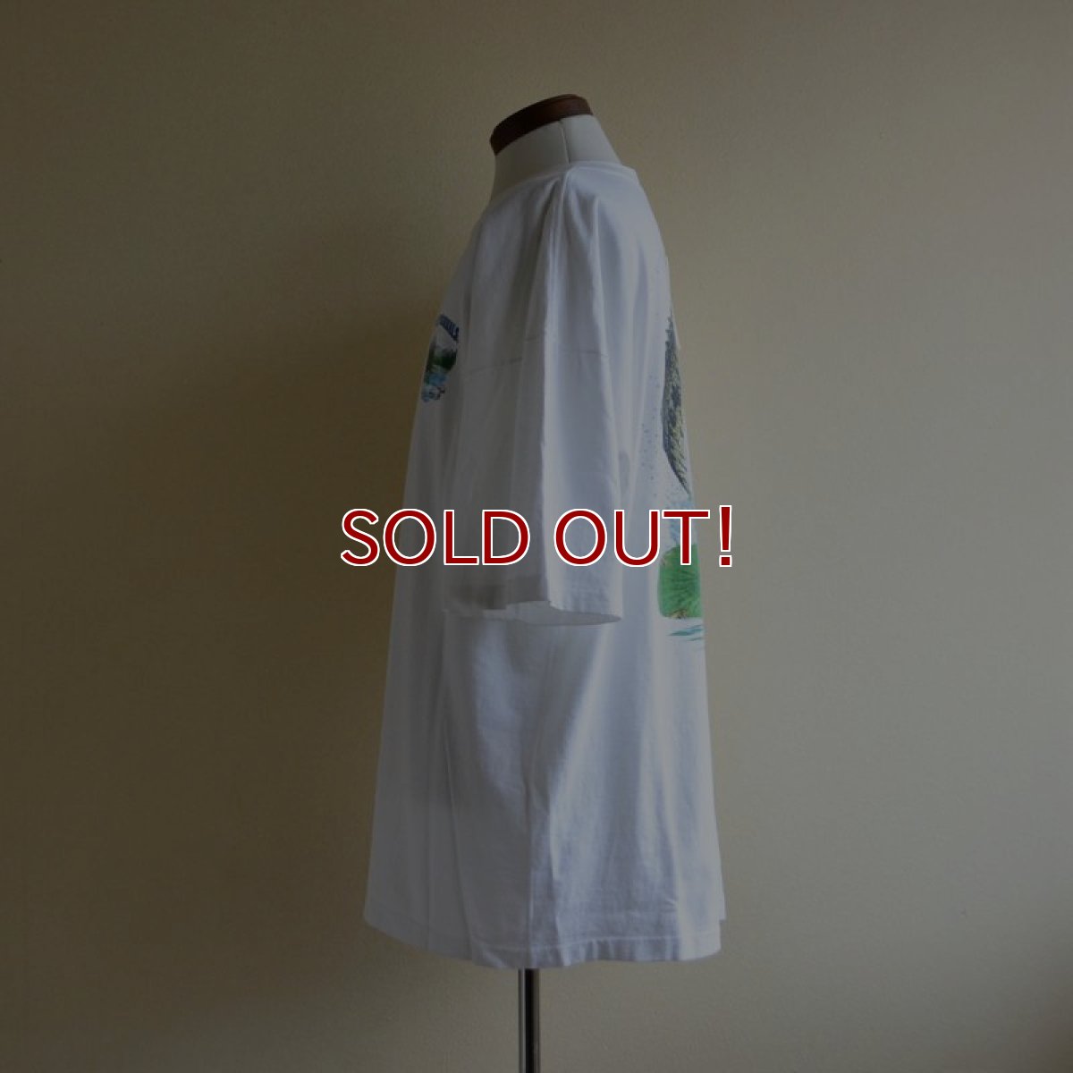 画像2: 1990s T.S.F. ORIGINALS ブラックバスTシャツ　 MADE IN USA　 表記XXL  (2)