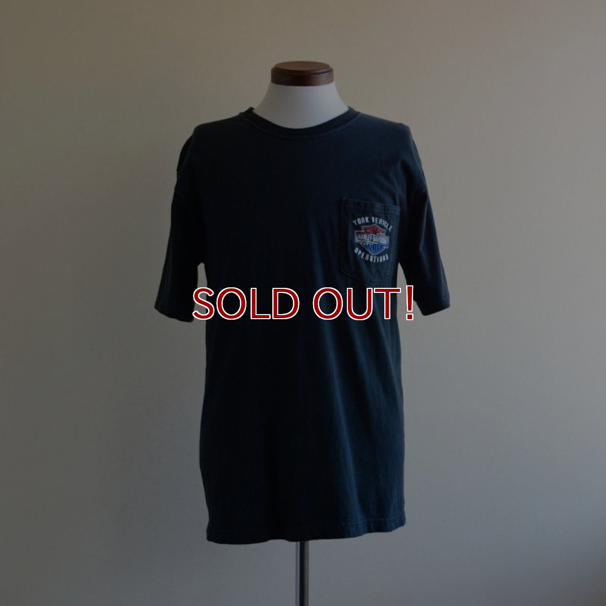 画像1: 2000s HARLEY-DAVIDSON ポケットTシャツ　 表記M  (1)
