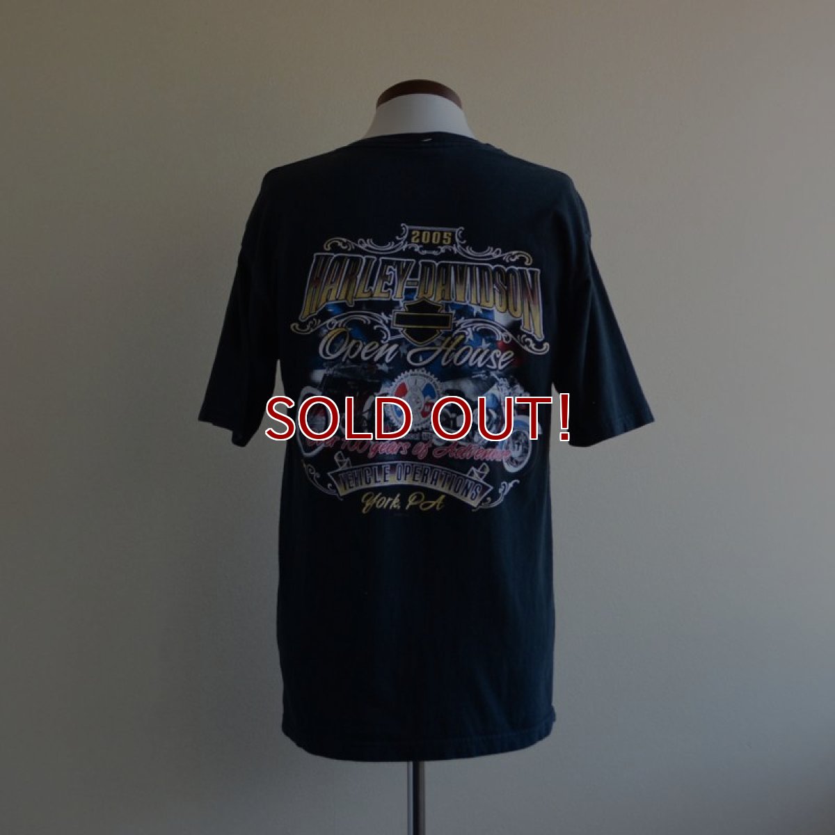 画像3: 2000s HARLEY-DAVIDSON ポケットTシャツ　 表記M  (3)