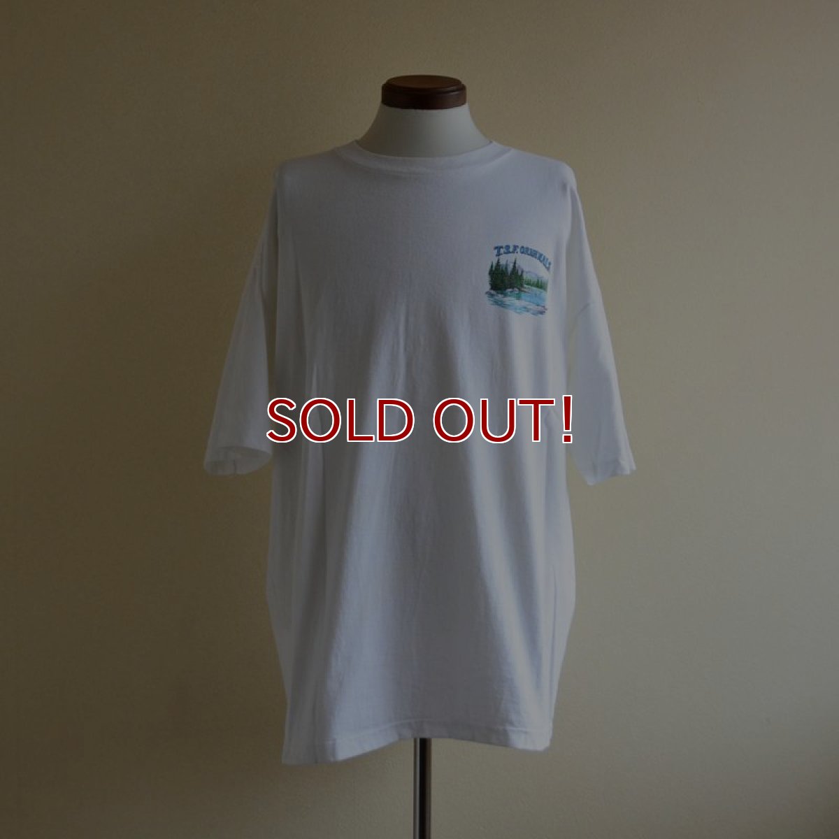 画像3: 1990s T.S.F. ORIGINALS ブラックバスTシャツ　 MADE IN USA　 表記XXL  (3)