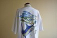 画像12: 1990s GUY HARVEY ポケットTシャツ　 MADE IN USA　 表記XL 