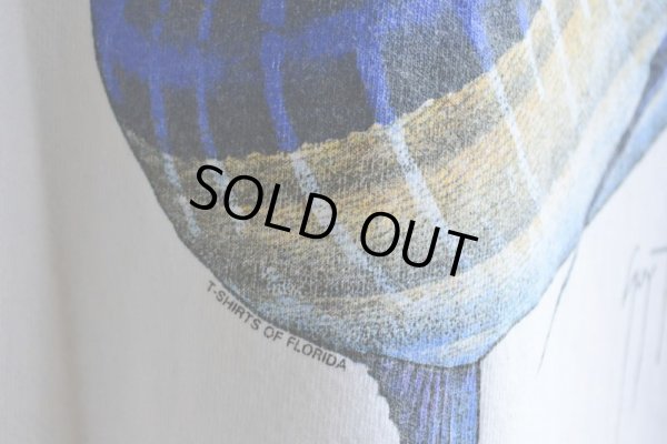 画像13: 1990s GUY HARVEY ポケットTシャツ  MADE IN USA  表記XL