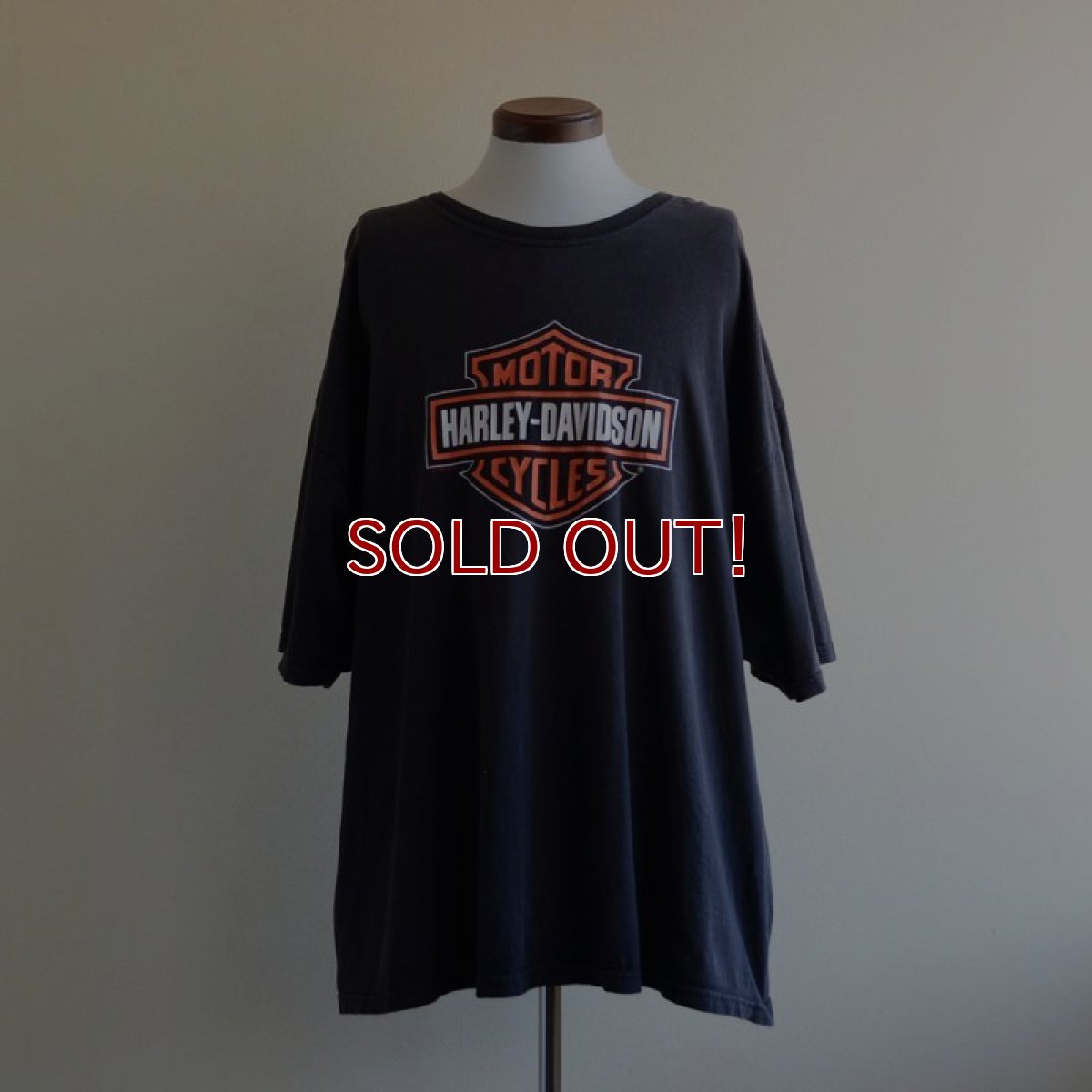 画像1: 1990-00s HARLEY-DAVIDSON プリントTシャツ　 表記3XL  (1)