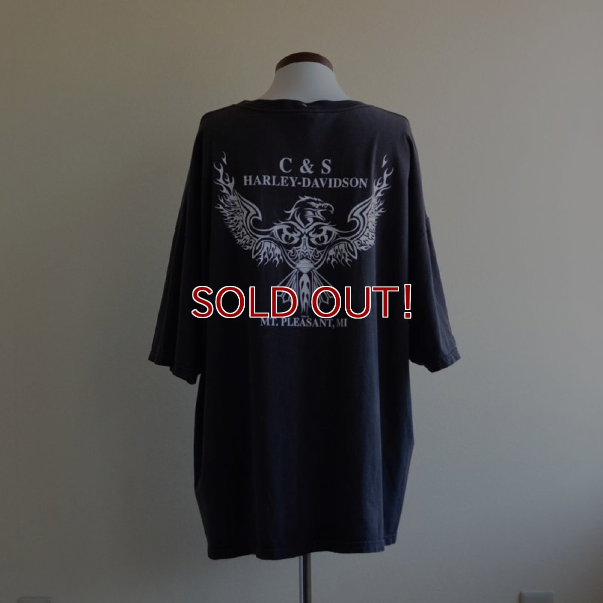画像3: 1990-00s HARLEY-DAVIDSON プリントTシャツ　 表記3XL  (3)