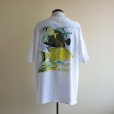 画像3: 1990s GUY HARVEY ポケットTシャツ　 MADE IN USA　 表記XL 