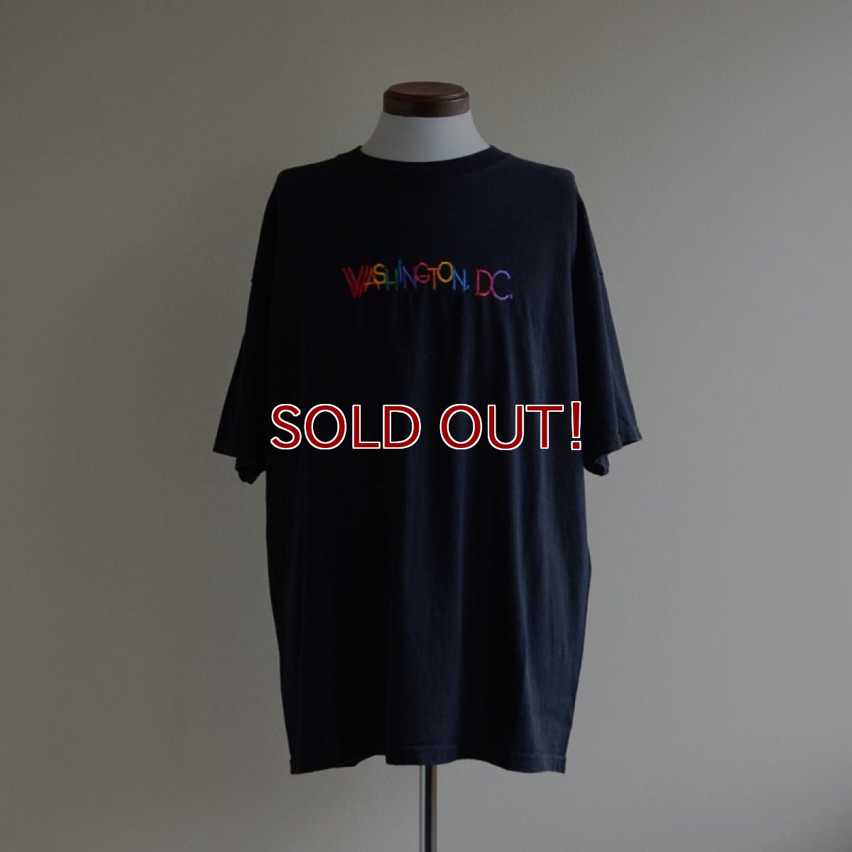 画像1: 1990s〜 WASHINGTON D.C. 刺繍ロゴTシャツ　 表記XL  (1)