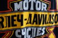 画像9: 1990s HARLEY-DAVIDSON プリントTシャツ　 表記L 