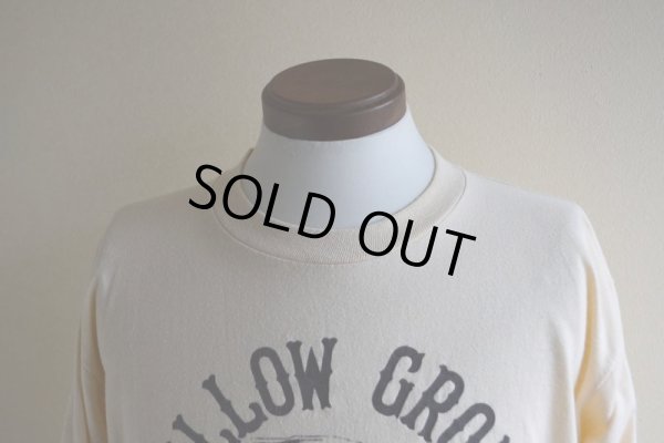 画像6: 1980s WILLOW GROVE FEEDERS プリントTシャツ  表記XL