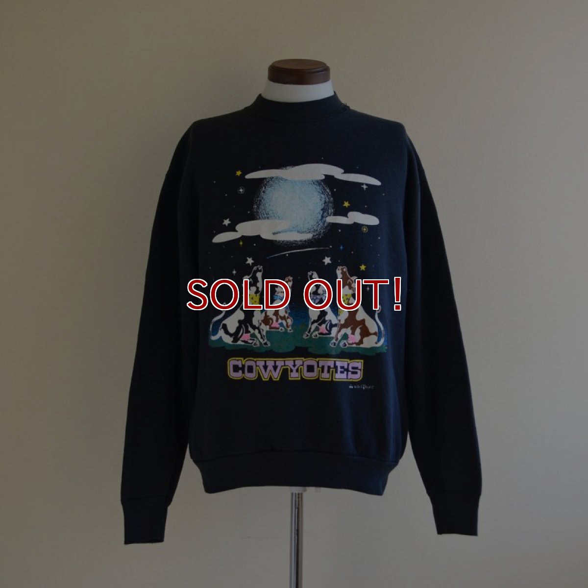 画像1: 1990s COWYOTES プリントスウェット　 MADE IN USA　 表記L  (1)