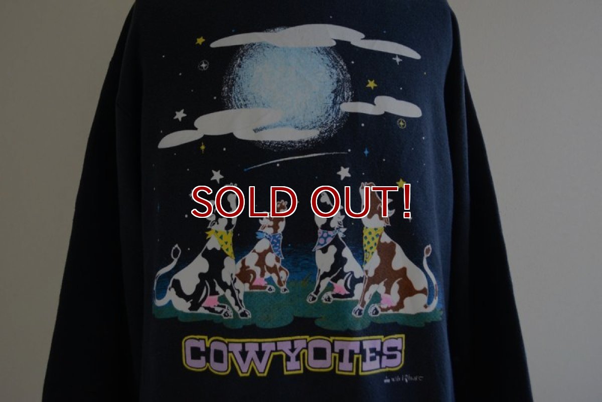 画像8: 1990s COWYOTES プリントスウェット　 MADE IN USA　 表記L  (8)