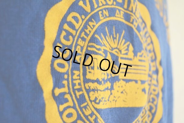 画像10: 1970-80s フロッキーカレッジスウェット  表記XL