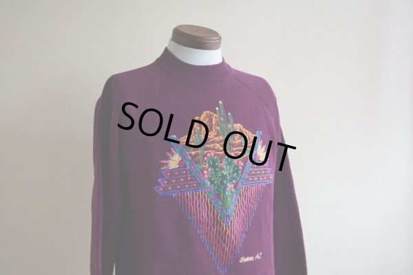 画像7: 1990s SEDONA AZ サボテンスウェット　 MADE IN USA　 表記M 