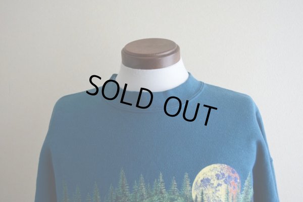 画像7: 1990s MUSEUM OF WESTWARD EXPANSION 両面プリントスウェット  MADE IN USA  表記L