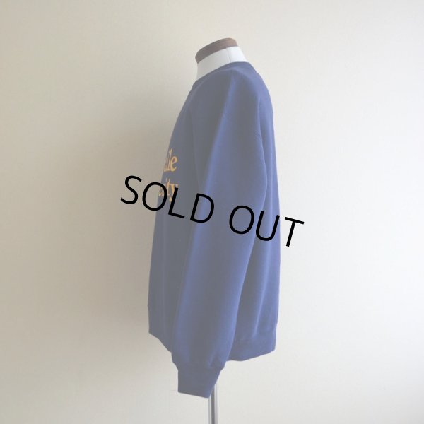 画像4: 1990s La Salle UNIVERSITY カレッジスウェット  MADE IN USA  表記L