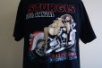 画像8: 1990s STURGIS RALLY WEEK 1999 エロプリントTシャツ　 表記L 