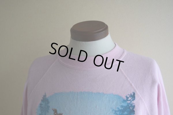 画像6: 1990s Deliverance プリントスウェット  MADE IN USA　 表記XL 