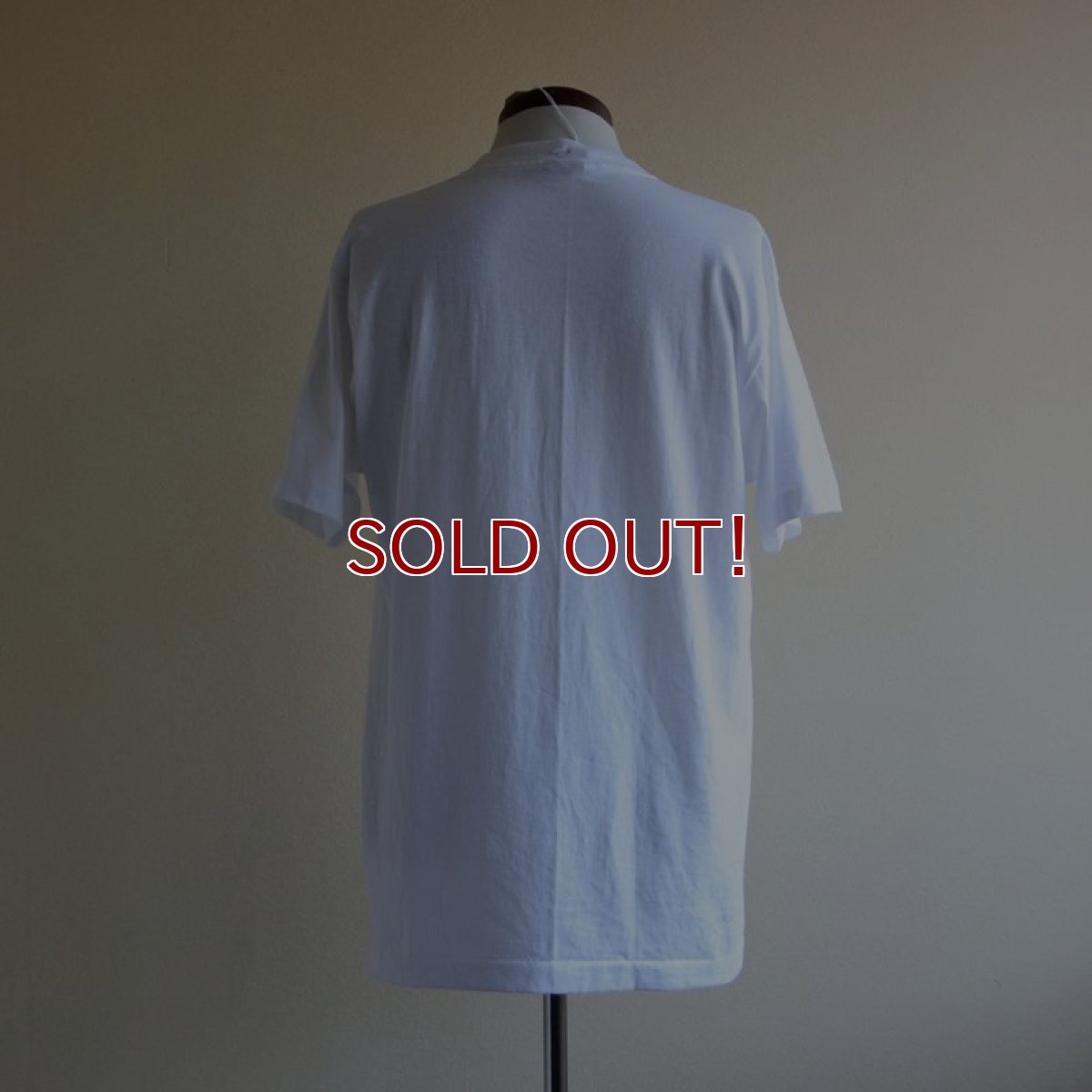 画像3: 1990s 少林神功 U.S. Kung-Fu Tour Tシャツ　 MADE IN USA　 表記L  (3)