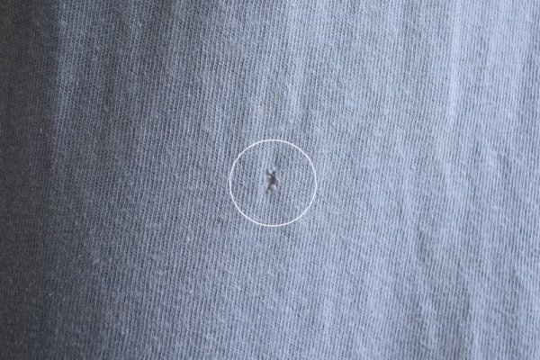 画像14: 1970s Champion WINフットボールTシャツ　 "OHIO STATE"　 表記L 