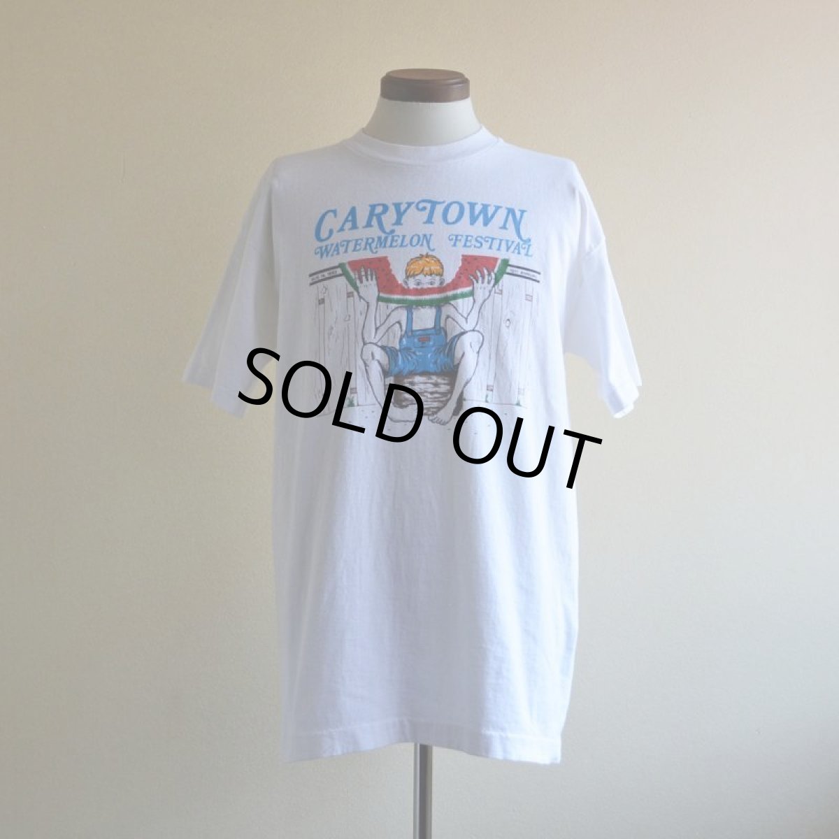 画像1: 1990s WATERMELON FESTIVAL Tシャツ　 "MADE IN USA"　 表記L  (1)