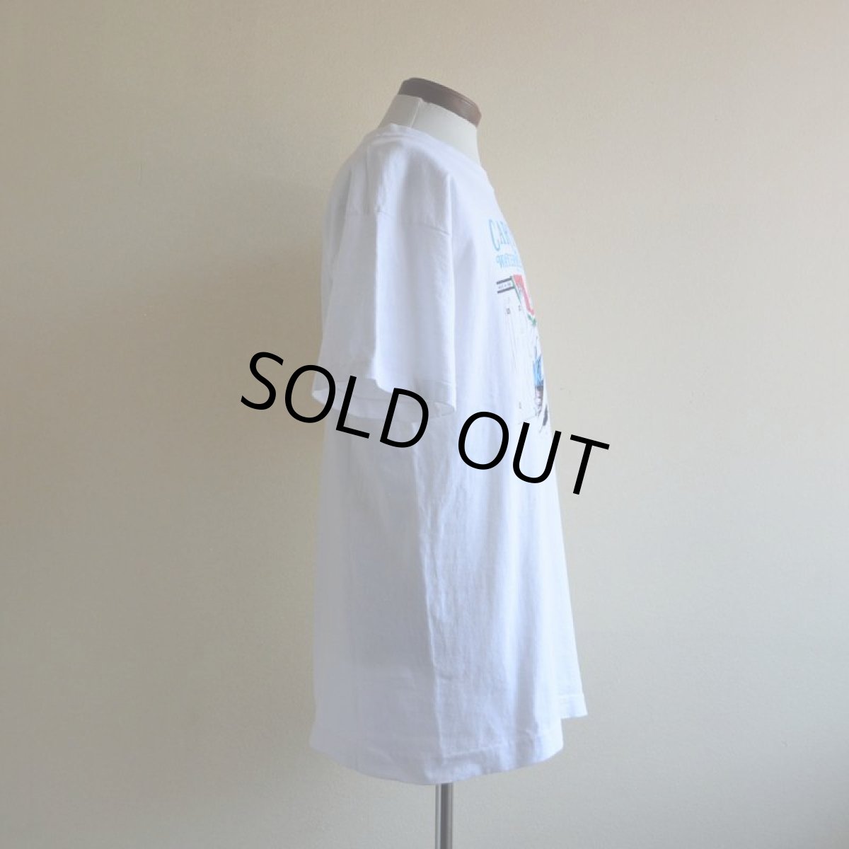 画像2: 1990s WATERMELON FESTIVAL Tシャツ　 "MADE IN USA"　 表記L  (2)