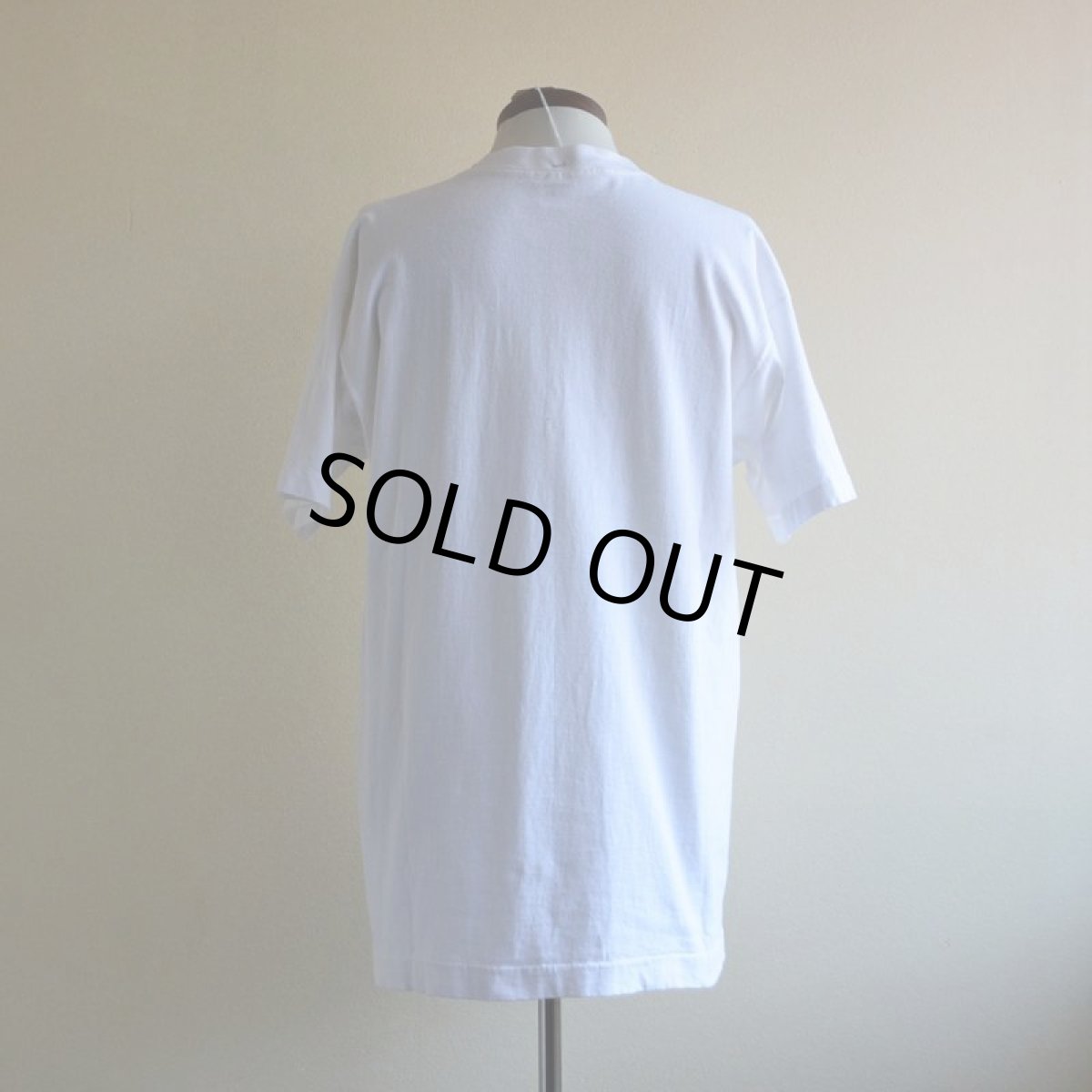 画像3: 1990s WATERMELON FESTIVAL Tシャツ　 "MADE IN USA"　 表記L  (3)