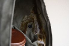 画像9: 1950s US.NAVY レインパーカー　 表記MEDIUM  (9)