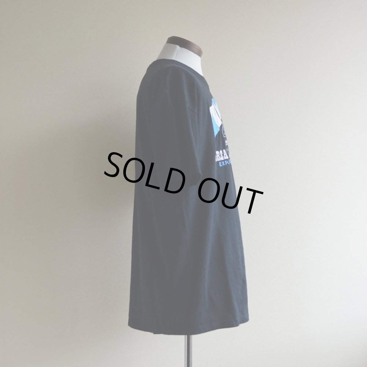 画像2: 1990s BUSH PILOT エロTシャツ　 "MADE IN USA"　 表記L  (2)