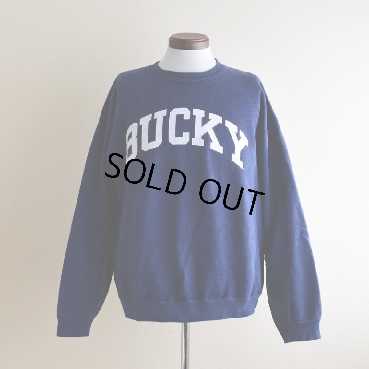 画像1: 1990s BUCKY カレッジスウェット　 表記XL  (1)
