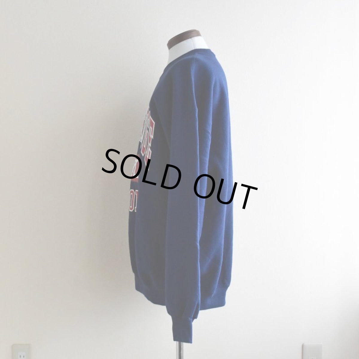 画像4: 1990s TWIN BRIDGE RESORT プリントスウェット　  "MADE IN USA"　 表記XL  (4)