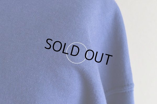 画像13: 2000s Champion カレッジパーカー　 "UNIVERSITY OF MEMPHIS"　 表記L 