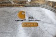 画像5: Carhartt L/SポケットTシャツ　 "リアルツリーカモ"　 表記3XL 