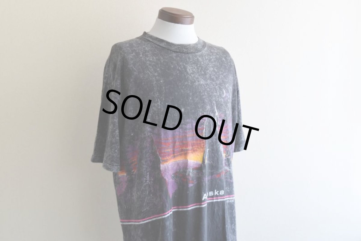 画像6: 1990s ALASKA Tシャツ　 "MADE IN USA"　 表記XXL  (6)