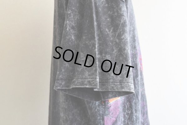 画像13: 1990s ALASKA Tシャツ  "MADE IN USA"  表記XXL