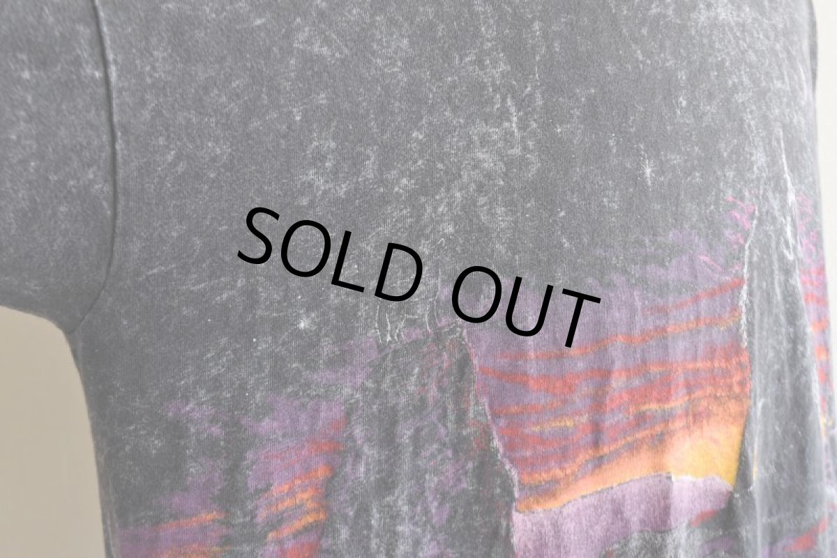 画像11: 1990s ALASKA Tシャツ　 "MADE IN USA"　 表記XXL  (11)