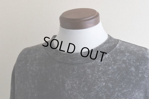 画像7: 1990s ALASKA Tシャツ  "MADE IN USA"  表記XXL