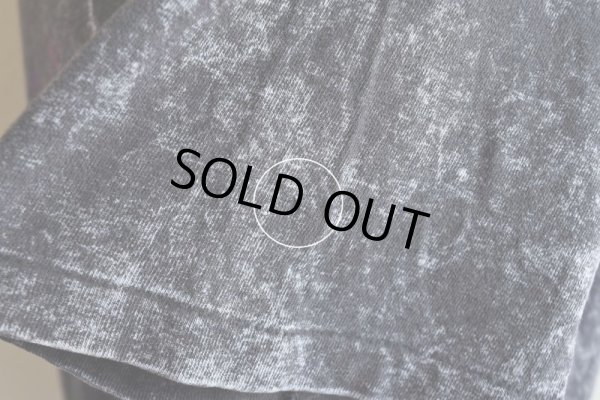 画像14: 1990s ALASKA Tシャツ  "MADE IN USA"  表記XXL