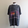 画像1: 1990s ALASKA Tシャツ　<br>"MADE IN USA"　<br>表記XXL<br> (1)