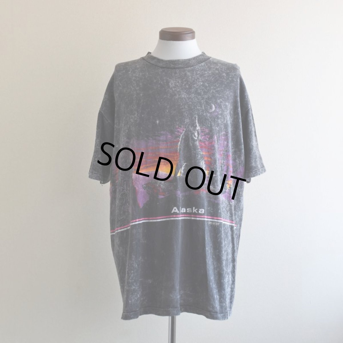 画像1: 1990s ALASKA Tシャツ　 "MADE IN USA"　 表記XXL  (1)