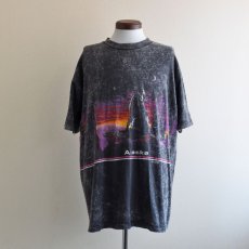 画像1: 1990s ALASKA Tシャツ　 "MADE IN USA"　 表記XXL  (1)