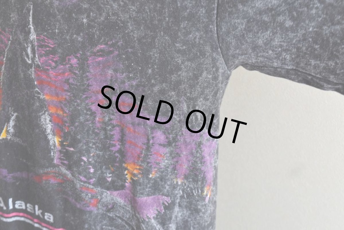 画像10: 1990s ALASKA Tシャツ　 "MADE IN USA"　 表記XXL  (10)