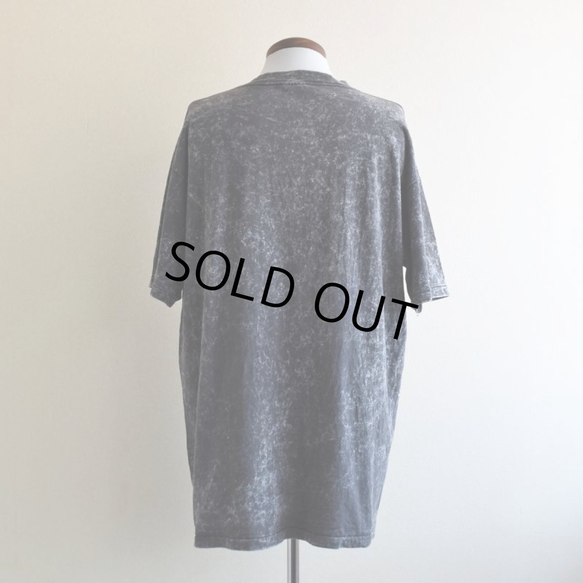 画像3: 1990s ALASKA Tシャツ　 "MADE IN USA"　 表記XXL  (3)