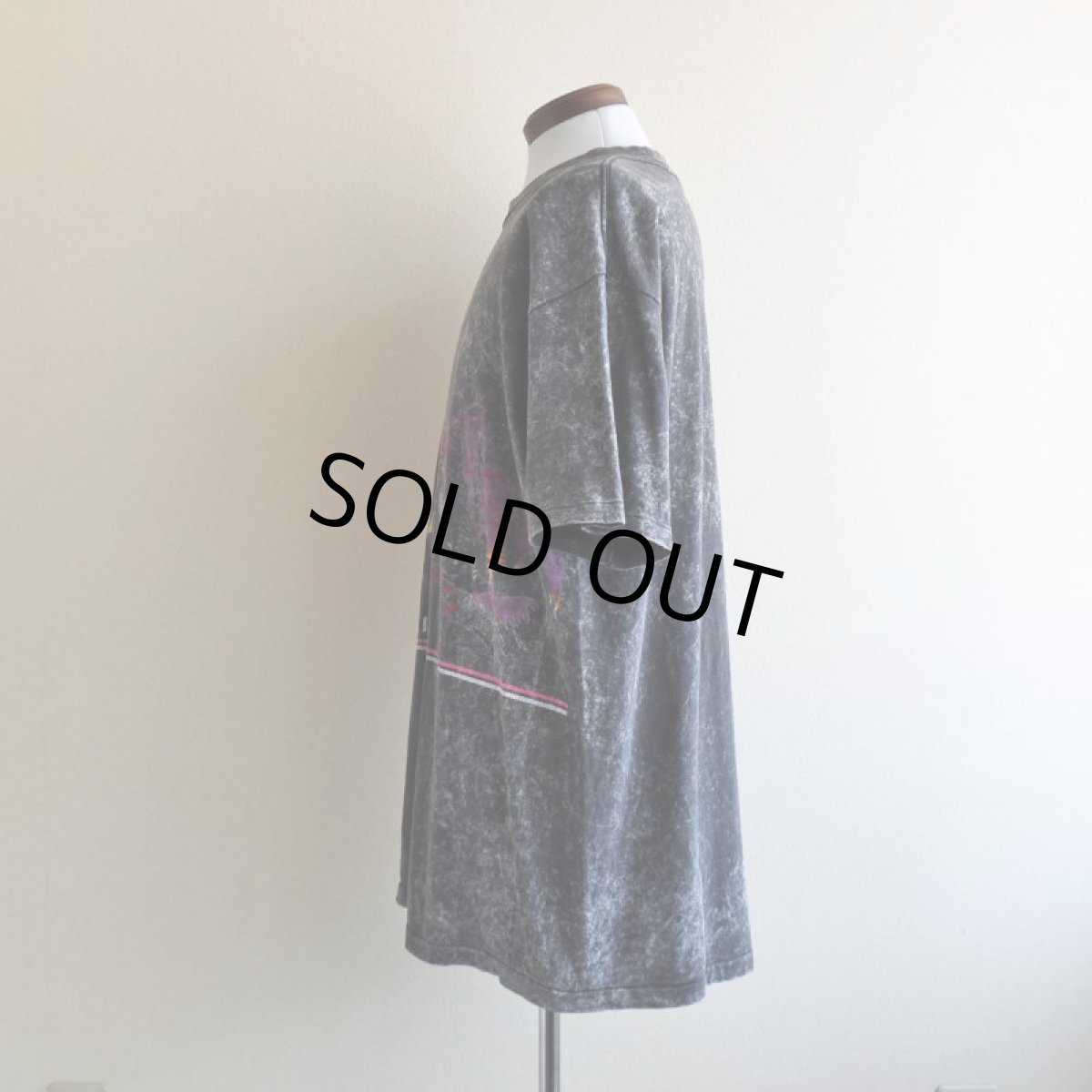 画像4: 1990s ALASKA Tシャツ　 "MADE IN USA"　 表記XXL  (4)