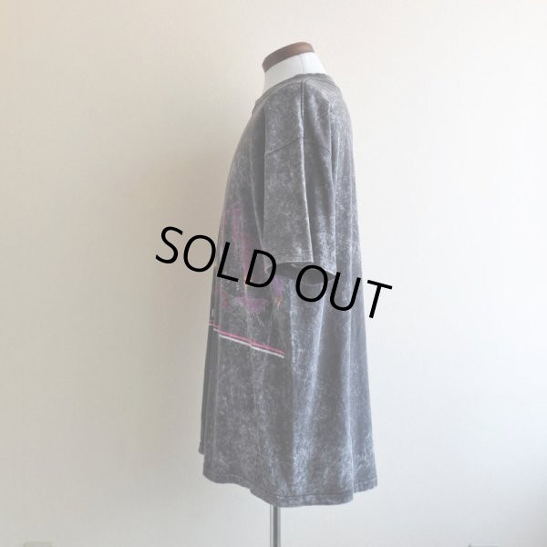 画像4: 1990s ALASKA Tシャツ  "MADE IN USA"  表記XXL