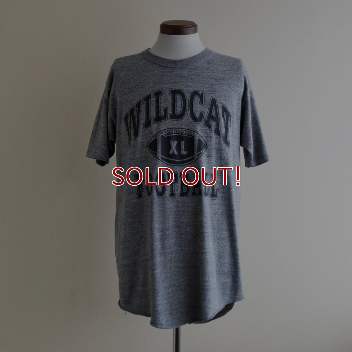 画像1: 1980s WILD CAT カレッジTシャツ　 "MADE IN USA"　 表記L  (1)