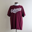 画像1: 1990s Champion カレッジTシャツ　<br>"MADE IN USA"　<br>表記XL<br> (1)