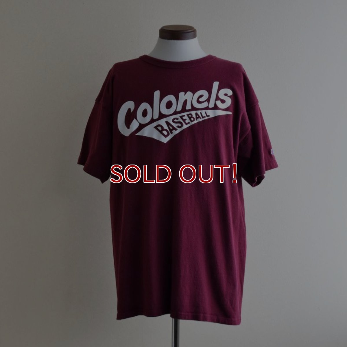 画像1: 1990s Champion カレッジTシャツ　 "MADE IN USA"　 表記XL  (1)