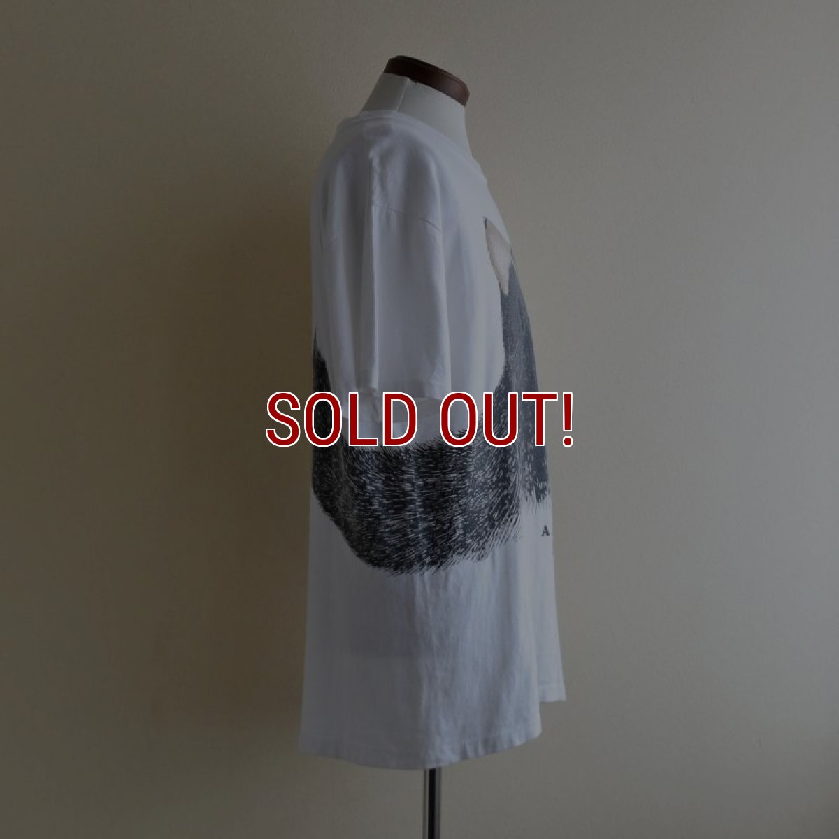 画像2: 1990s A Hug... Tシャツ　 "MADE IN USA"　 表記L  (2)