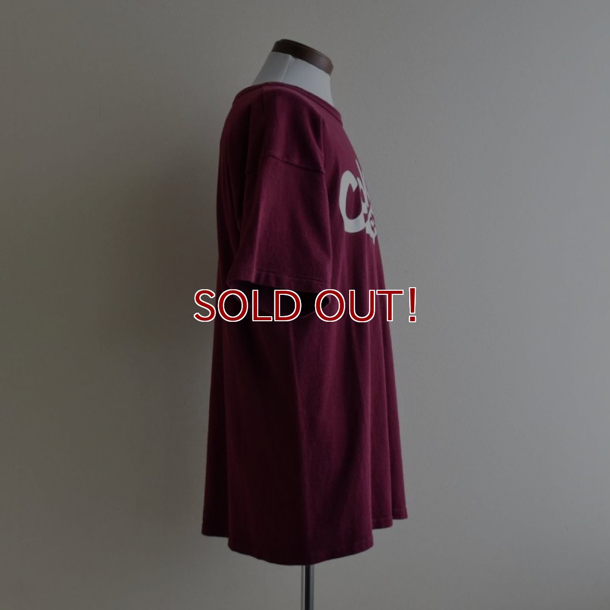 画像2: 1990s Champion カレッジTシャツ　 "MADE IN USA"　 表記XL  (2)